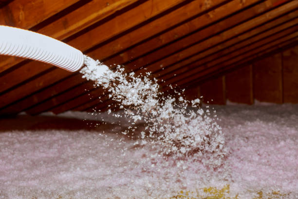 Best Fiberglass Insulation  in Larksville, PA