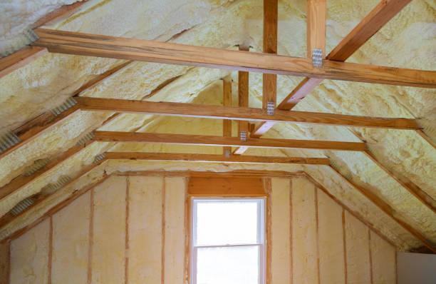 Professional Insulation Contractor in Larksville, PA