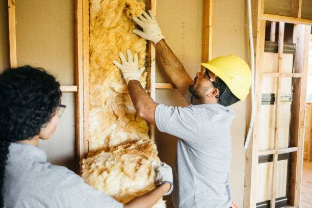 Best Attic Insulation Installation  in Larksville, PA
