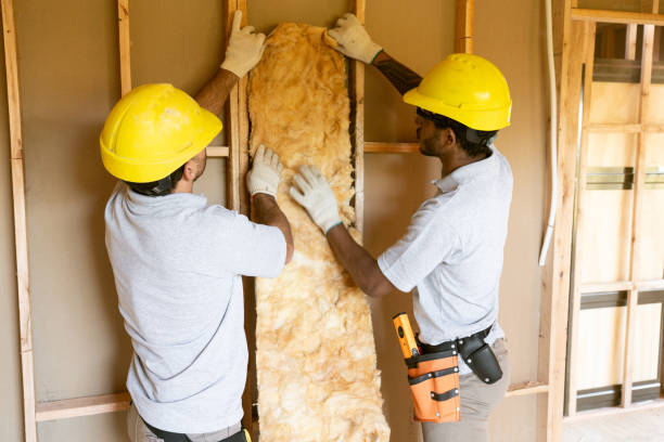 Best Blown-in Insulation  in Larksville, PA