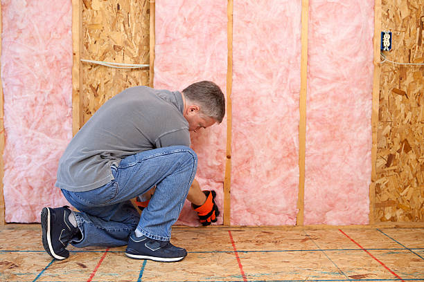 Best Home Insulation Services  in Larksville, PA