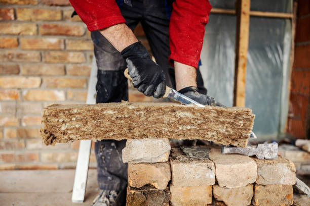 Best Wall Insulation Contractor  in Larksville, PA