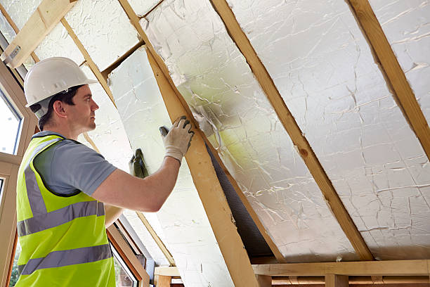 Best Professional Insulation Contractor  in Larksville, PA