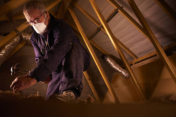 Best Commercial Insulation Contractor  in Larksville, PA